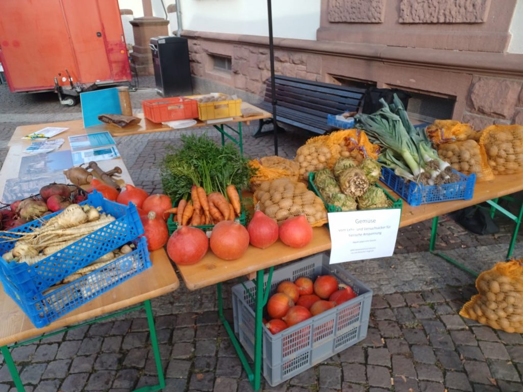 Markstand mit Gemüse auf dem Lorscher Wochenmarkt.
